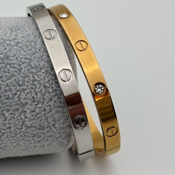 بنگل کارتیه نگینی