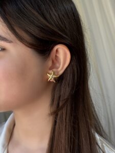 گوشواره ستاره دریایی